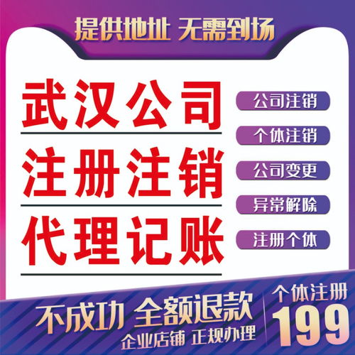 图 武昌代理记账 武昌记账代理费用及需要注意的事项 武汉会计审计