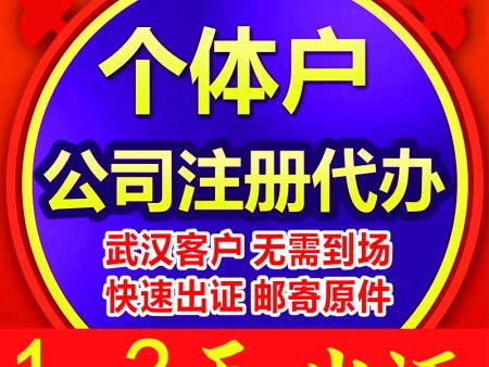 图 青山注册公司 工商年检 快速代办各类公司 武汉工商注册