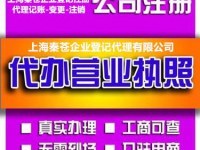 代帐会计,代帐报税,公司注册年审公司注册